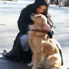 Filename=y496f46d_o.jpg
Filesize=964KiB
Dimensions=1868x2709
Date added=Jan 06, 2021 y496f46d_o.jpg