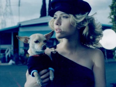 yjHsTmc4_o.jpg