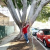 Filename=tom_002.jpg
Filesize=1943KiB
Dimensions=2048x2731
Date added=Jun 29, 2021 tom_002.jpg