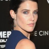 cobie_009.jpg