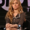 brie_013.jpg