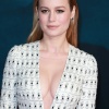 brie_101.jpg