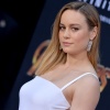 brie_068.jpg