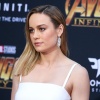 brie_078.jpg