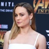 brie_079.jpg