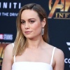 brie_080.jpg