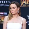 brie_081.jpg