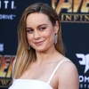 brie_085.jpg