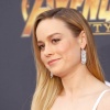 brie_162.jpg
