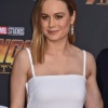 brie_225.jpg