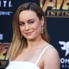brie_247.jpg