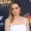 brie_256.jpg