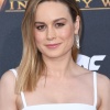 brie_270.jpg