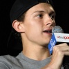 tom_019.jpg