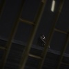 Filename=030.jpg
Filesize=69KiB
Dimensions=1920x800
Date added=Sep 28, 2021 030.jpg