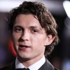 tom_056.jpg