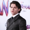tom_068.jpg