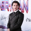 tom_073.jpg