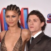 Filename=zendaya_0635.jpg
Filesize=2320KiB
Dimensions=4800x4448
Date added=Feb 08, 2023 zendaya_0635.jpg