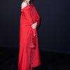dove_0029.jpg