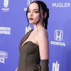 dove_0128.jpg