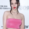 dove_0002.jpg
