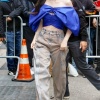 dove_0050.jpg