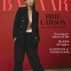 brie_0012.png
