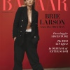 brie_0028.jpg