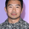 simu_0005.jpg
