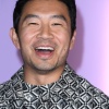 simu_0008.jpg