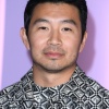 simu_0009.jpg