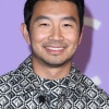 simu_0011.jpg