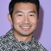 simu_0014.jpg