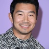 simu_0015.jpg