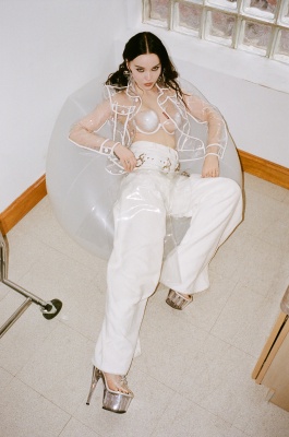 dove_0005.jpg