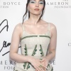 dove_0007.jpg