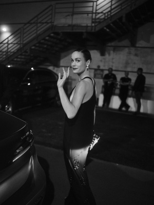 brie_0001~0.jpg