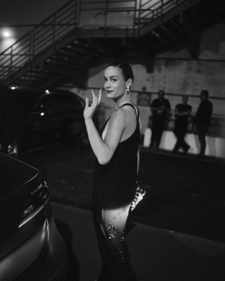 brie_0003.jpg