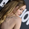 dove_0040.jpg