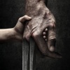 logan-15649.jpg