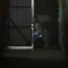 Filename=cloakanddagger_111.jpg
Filesize=90KiB
Dimensions=1280x720
Date added=Sep 04, 2020 cloakanddagger_111.jpg