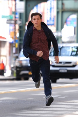 tom_001.jpg